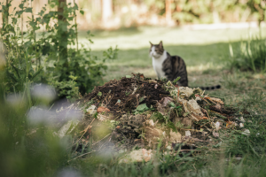 Peut-on Jeter la Litière dans le Jardin : Avantages et Risques à Connaître